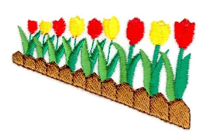 Tulips Tulips