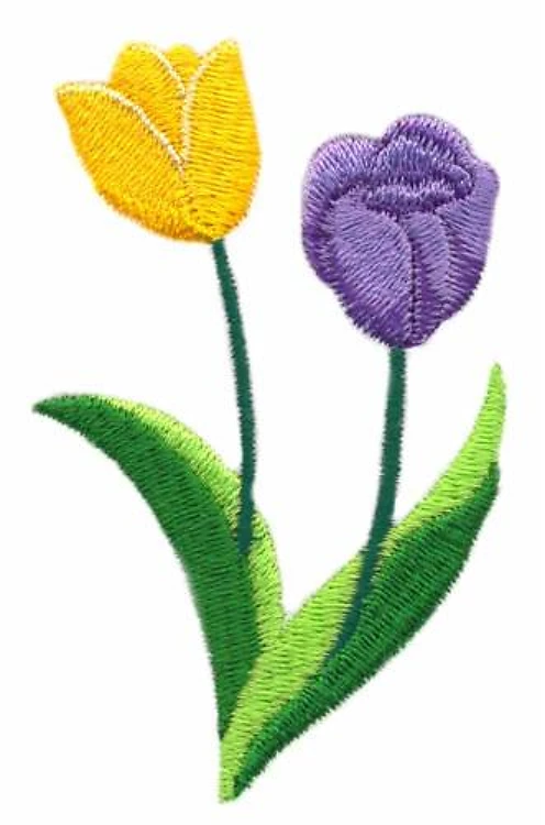 Tulips Tulips