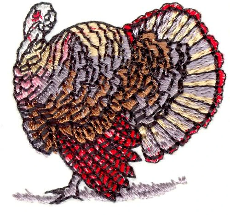 Turkey Turkey