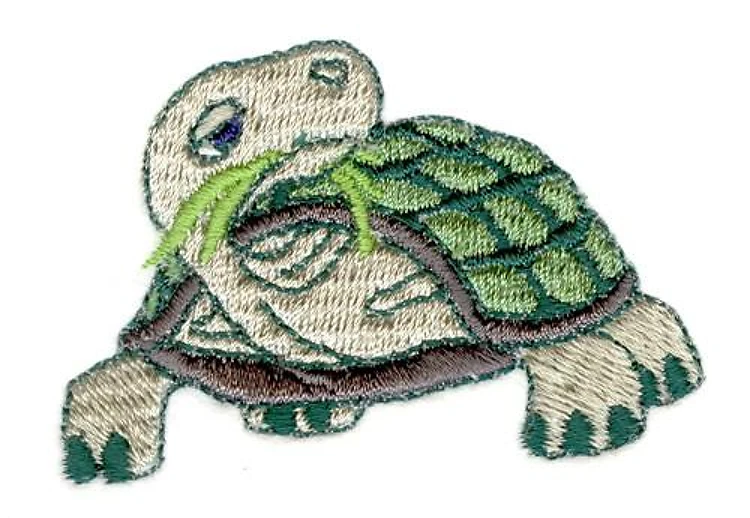 Turtle Turtle