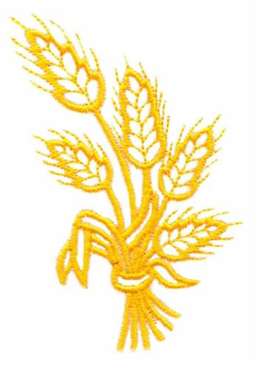 Wheat Wheat