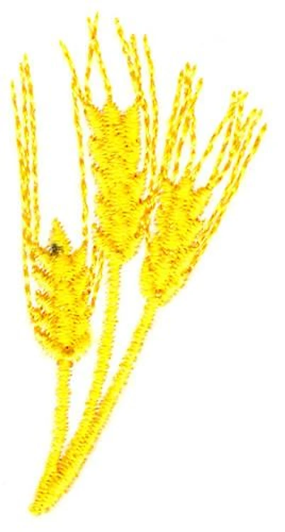 Wheat Wheat