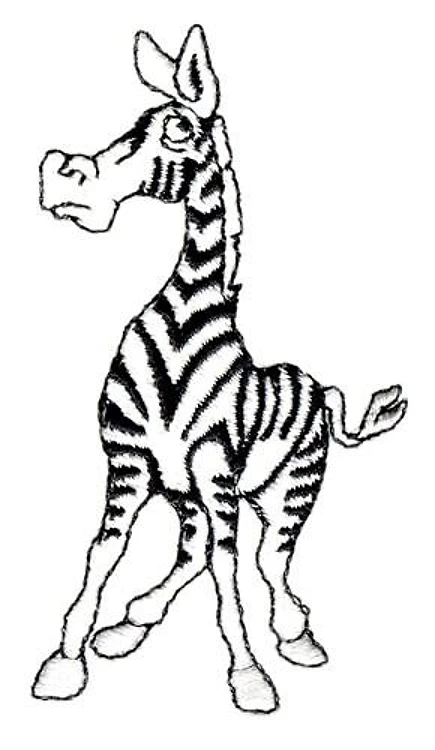 Zebra Zebra