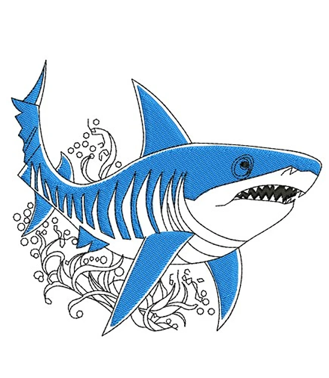 Shark Shark