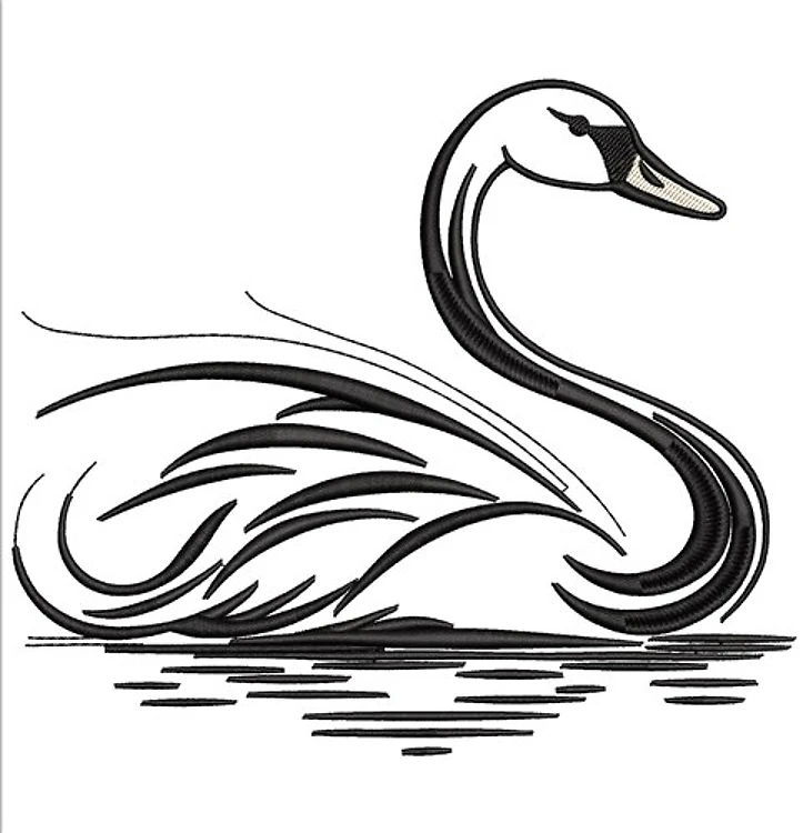 Swan Swan