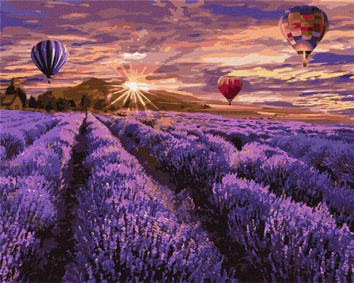 Paint By Numbers Kit Blooming Lavender