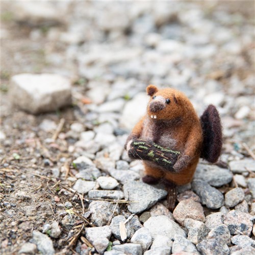 Feldor The Beaver Felting Kit