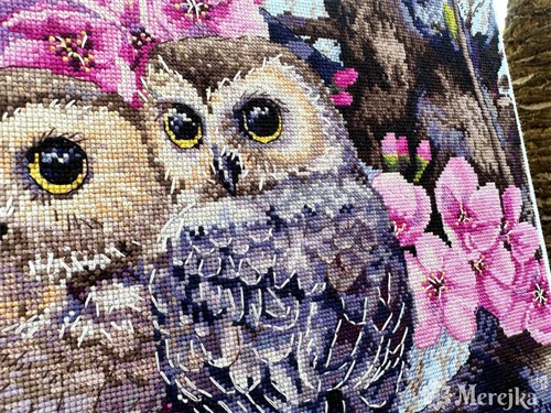 Owls In Blossoms Counted Cross-Stitch Kit