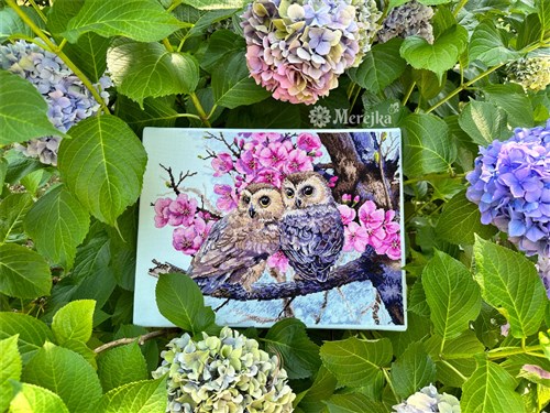 Owls In Blossoms Counted Cross-Stitch Kit