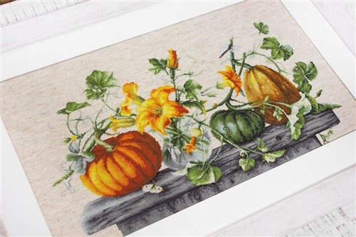 Pumpkin Counted Cross-Stitch Kit