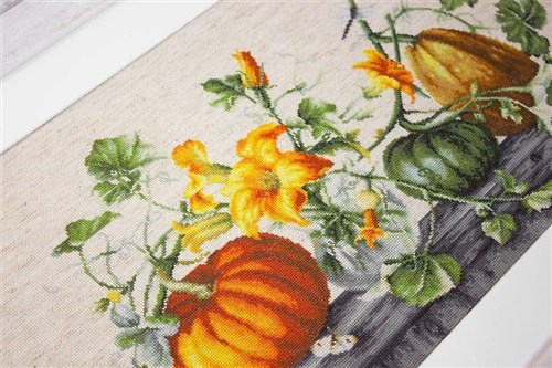 Pumpkin Counted Cross-Stitch Kit