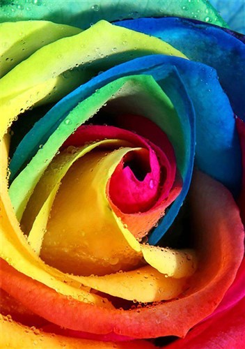 Rainbow Rose Diamond Painting Kit