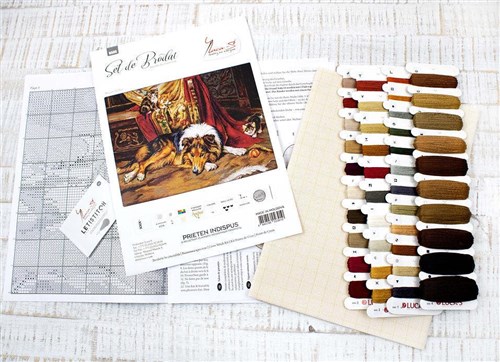 A Reluctant Playmate Counted Cross-Stitch Kit
