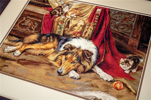 A Reluctant Playmate Counted Cross-Stitch Kit