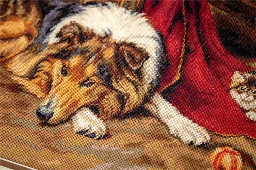 A Reluctant Playmate Counted Cross-Stitch Kit