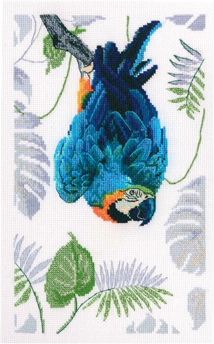 Macaw Counted Cross Stitch Kit