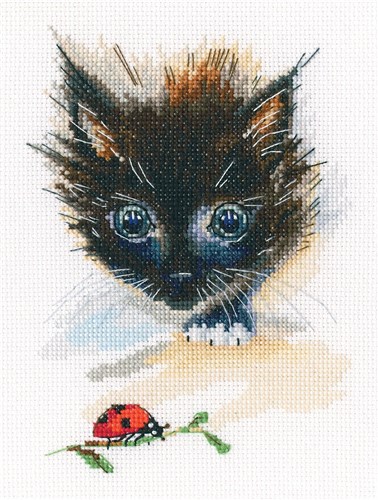 Ladybug & Cat Counted Cross Stitch Kit