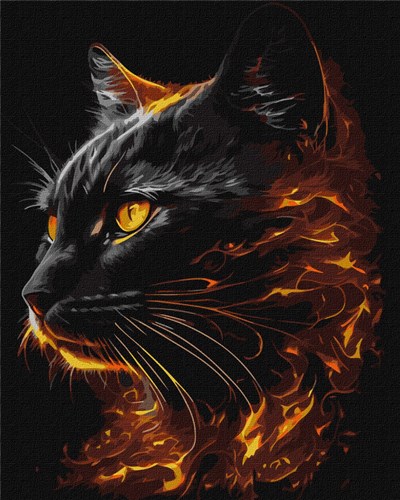 Fiery Beauty Paint By Numbers Kit