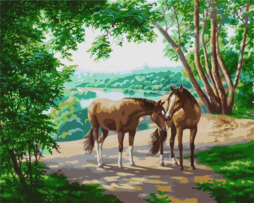 On A Walk Paint By Numbers Kit