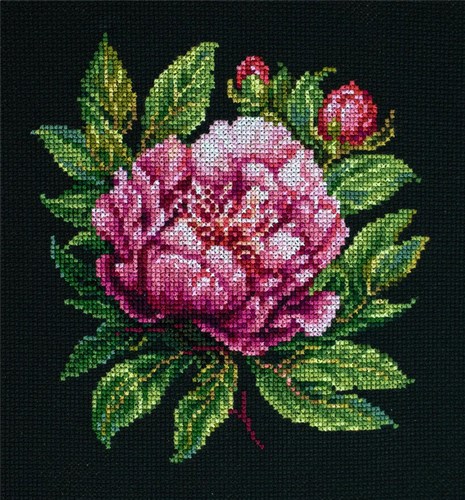 Peter Brand Peony Counted Cross-Stitch Kit