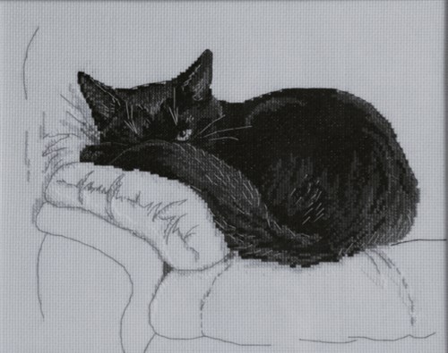 Among Black Cats Cross Stitch Kit