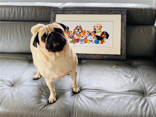 Dog Show Cross Stitch Kit