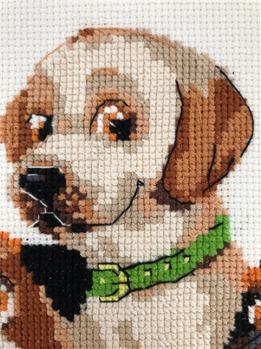 Dog Show Cross Stitch Kit