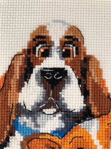 Dog Show Cross Stitch Kit