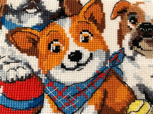 Dog Show Cross Stitch Kit