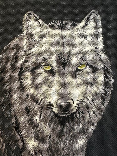 Alpha Cross Stitch Kit