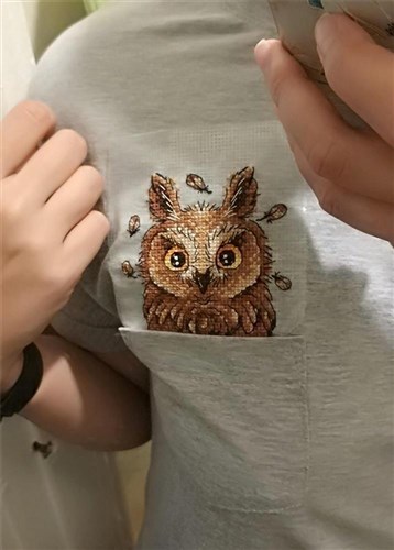Curious Owl Cross Stitch On Clothes
