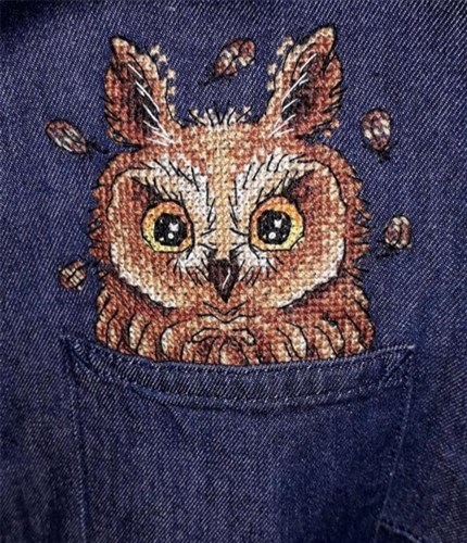 Curious Owl Cross Stitch On Clothes