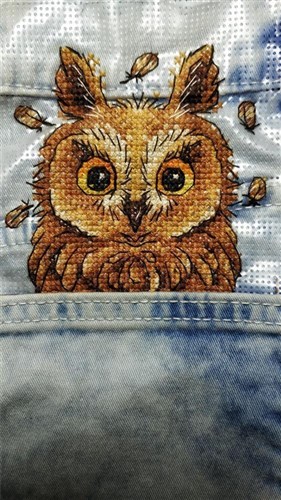 Curious Owl Cross Stitch On Clothes
