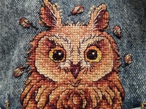 Curious Owl Cross Stitch On Clothes