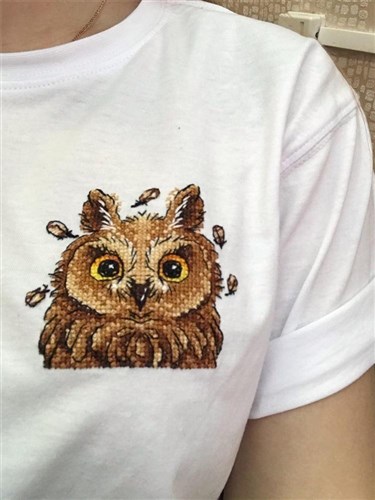 Curious Owl Cross Stitch On Clothes