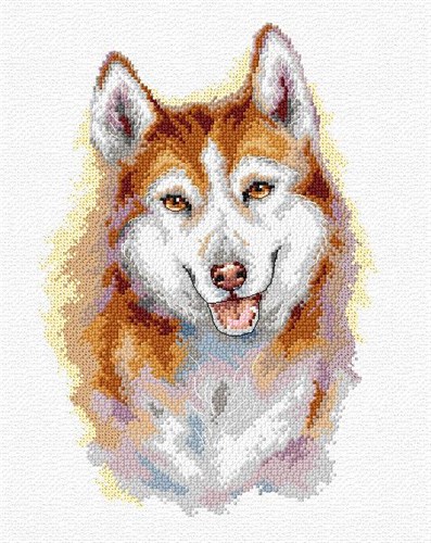 Husky Cross-Stitch Kit