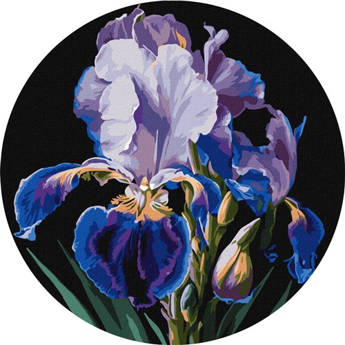 Delicate irises Paint By Numbers Kit