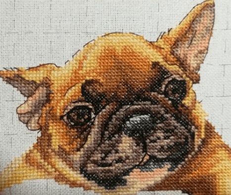 Warmth In Palms Cross Stitch Kit