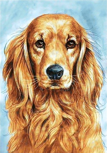 Faithful Dog Diamond Painting Kit