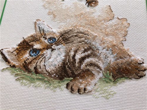 Flight Of The Bumblebee Cross Stitch Kit