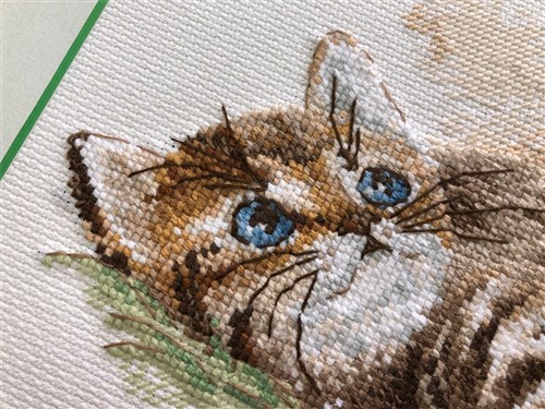 Flight Of The Bumblebee Cross Stitch Kit