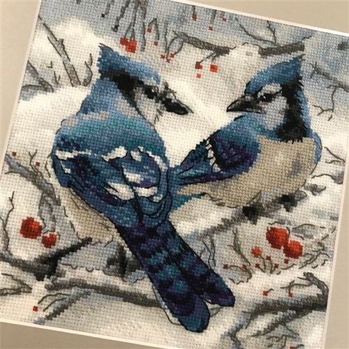 Blue Jays Cross Stitch Kit
