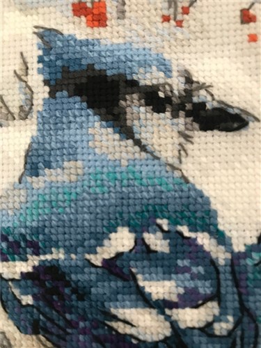 Blue Jays Cross Stitch Kit
