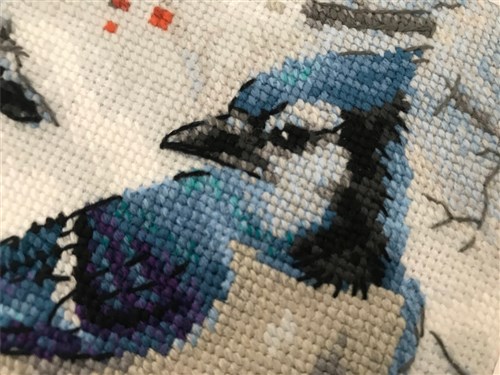 Blue Jays Cross Stitch Kit