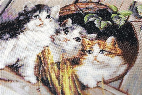 Friendly Shelter Cross-Stitch Kit
