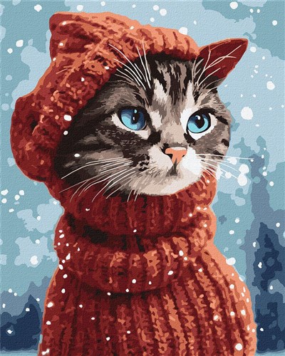 Paint By Numbers Kit Amazing Kitty