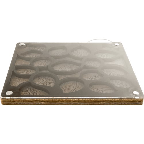 Bead Organizer With Transparent Cover
