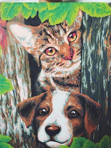 Two Friends Paint By Numbers Kit