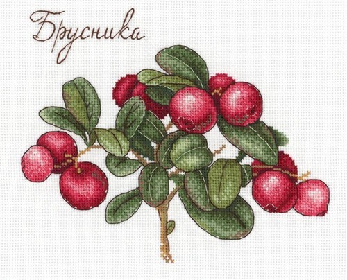 Berries Cross Stitch Kit