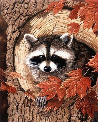 Racoon In The Tree Diamond Painting Kit